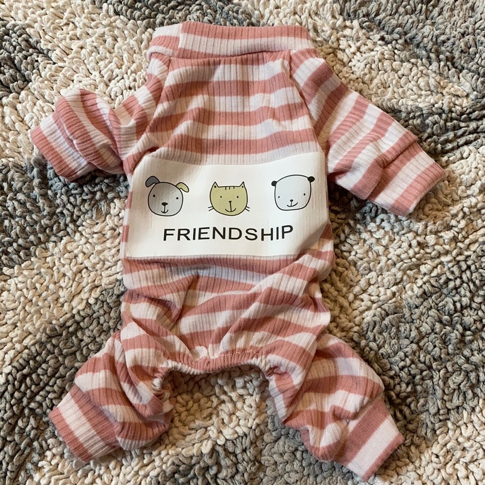 Cute dog outfit
